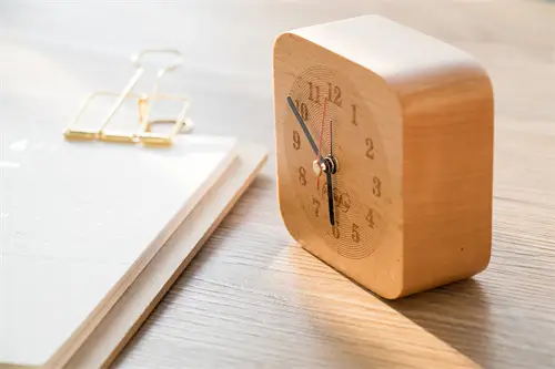 岳敏君诺亚方舟2解读